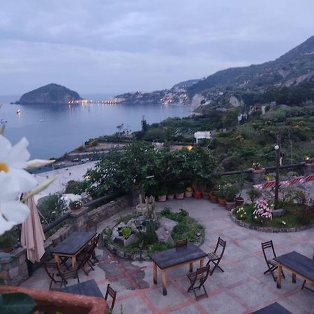 Bed and Breakfast Casa Antonio Barano dʼIschia Exterior foto