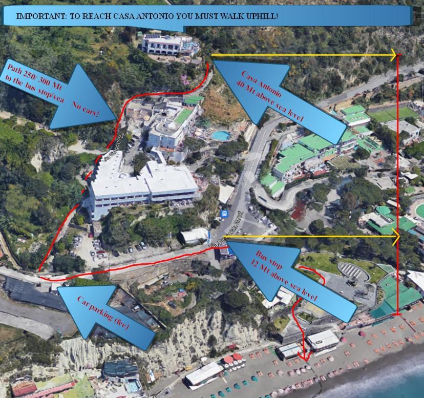 Bed and Breakfast Casa Antonio Barano dʼIschia Exterior foto