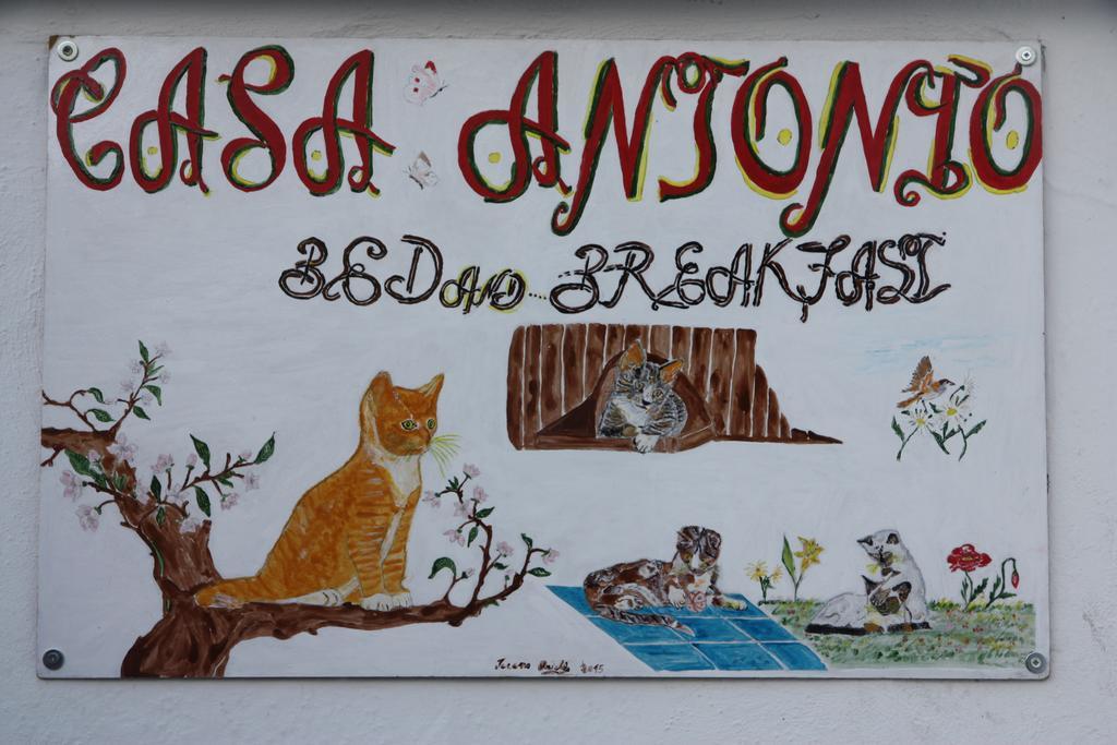 Bed and Breakfast Casa Antonio Barano dʼIschia Exterior foto