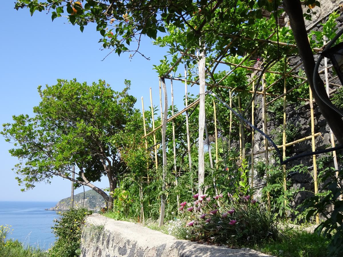 Bed and Breakfast Casa Antonio Barano dʼIschia Exterior foto