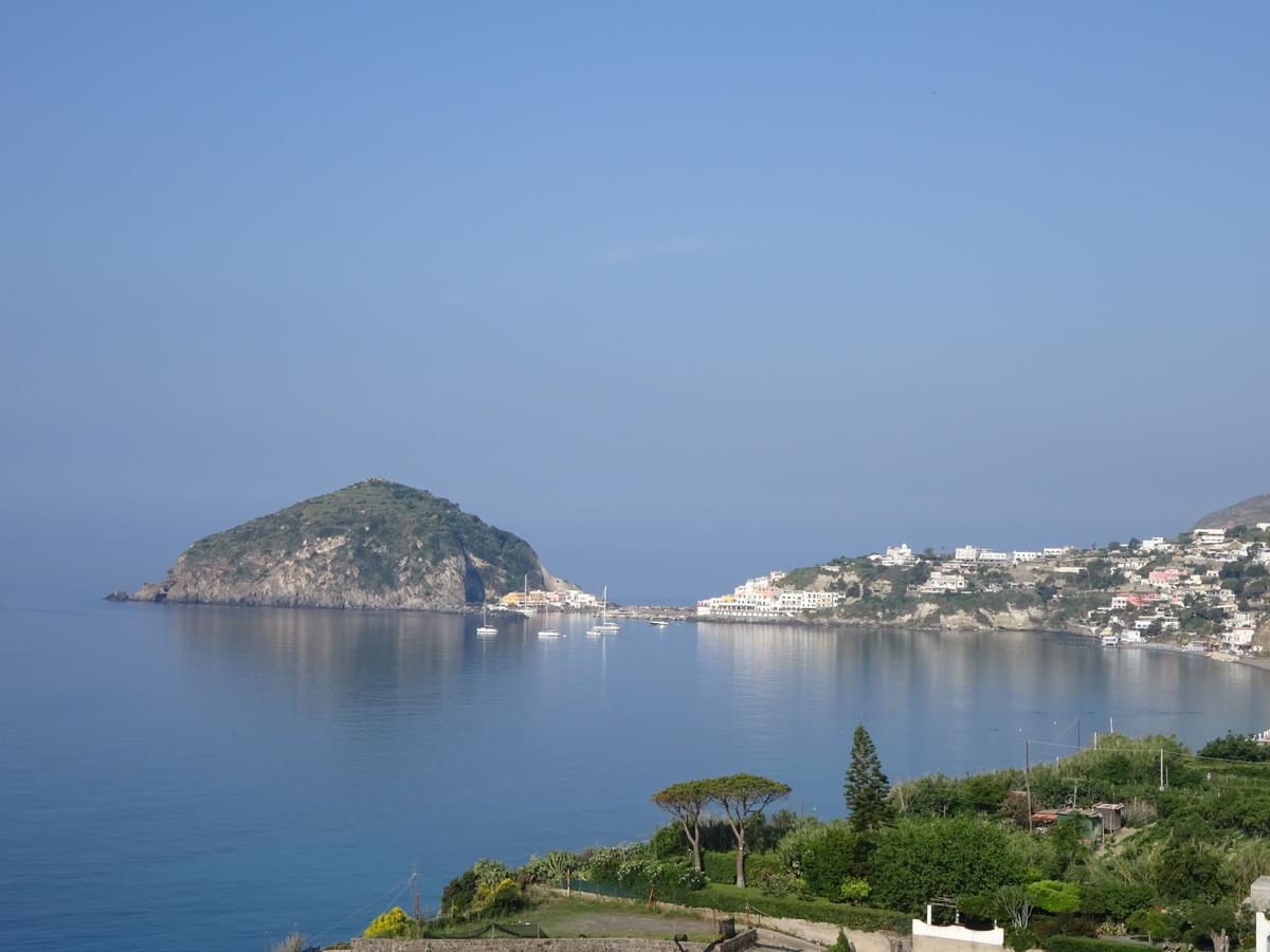Bed and Breakfast Casa Antonio Barano dʼIschia Exterior foto
